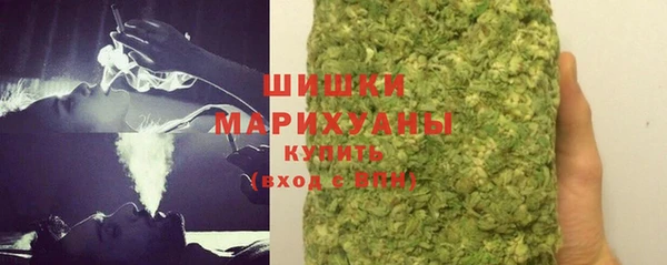 гашик Новозыбков