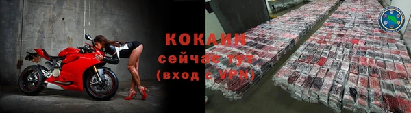 сатива Нязепетровск