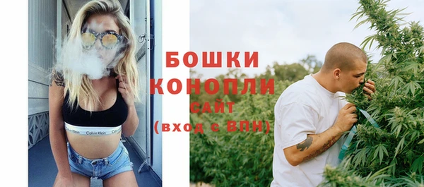 крисы Новокубанск