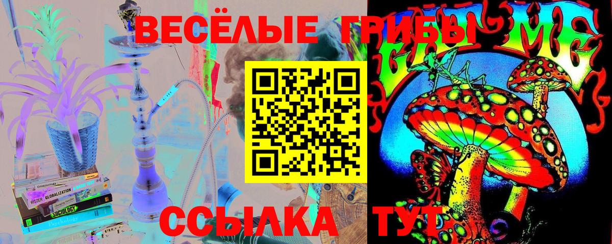 Галлюциногенные грибы GOLDEN TEACHER  Галлюциногенные грибы Cubensis  Североуральск  Вход с VPN 